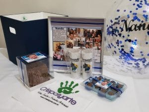 Ana Gabriela B. Campos Puhler